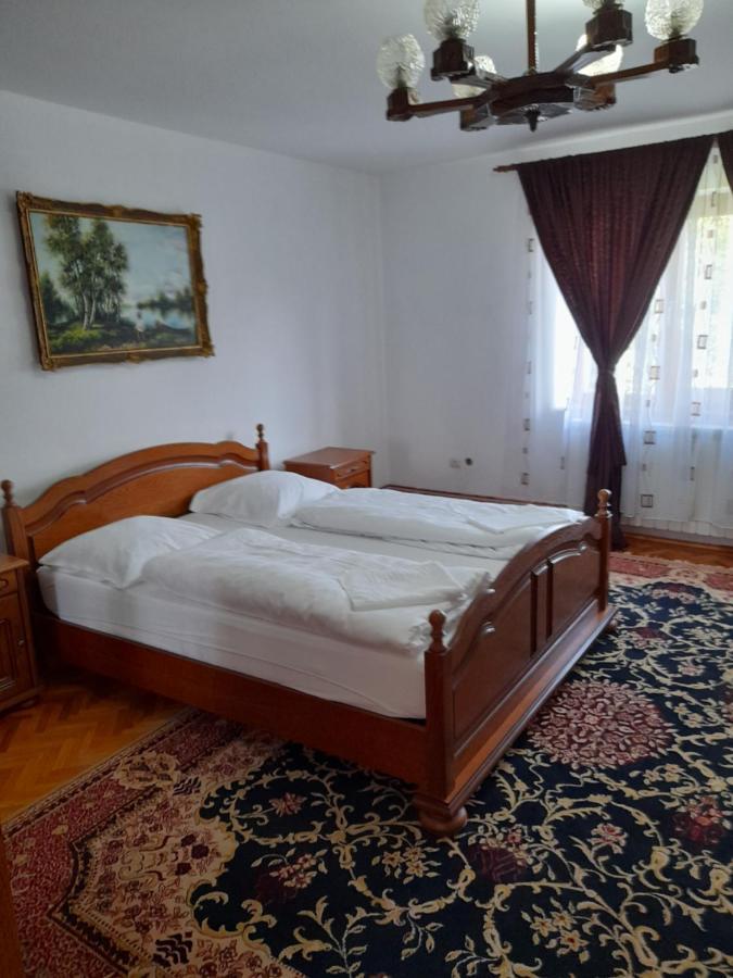 Hotel Casa Miki Haţeg Zewnętrze zdjęcie