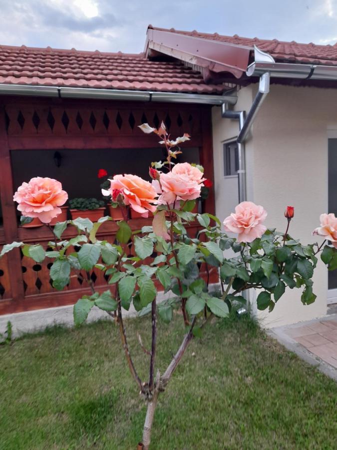 Hotel Casa Miki Haţeg Zewnętrze zdjęcie